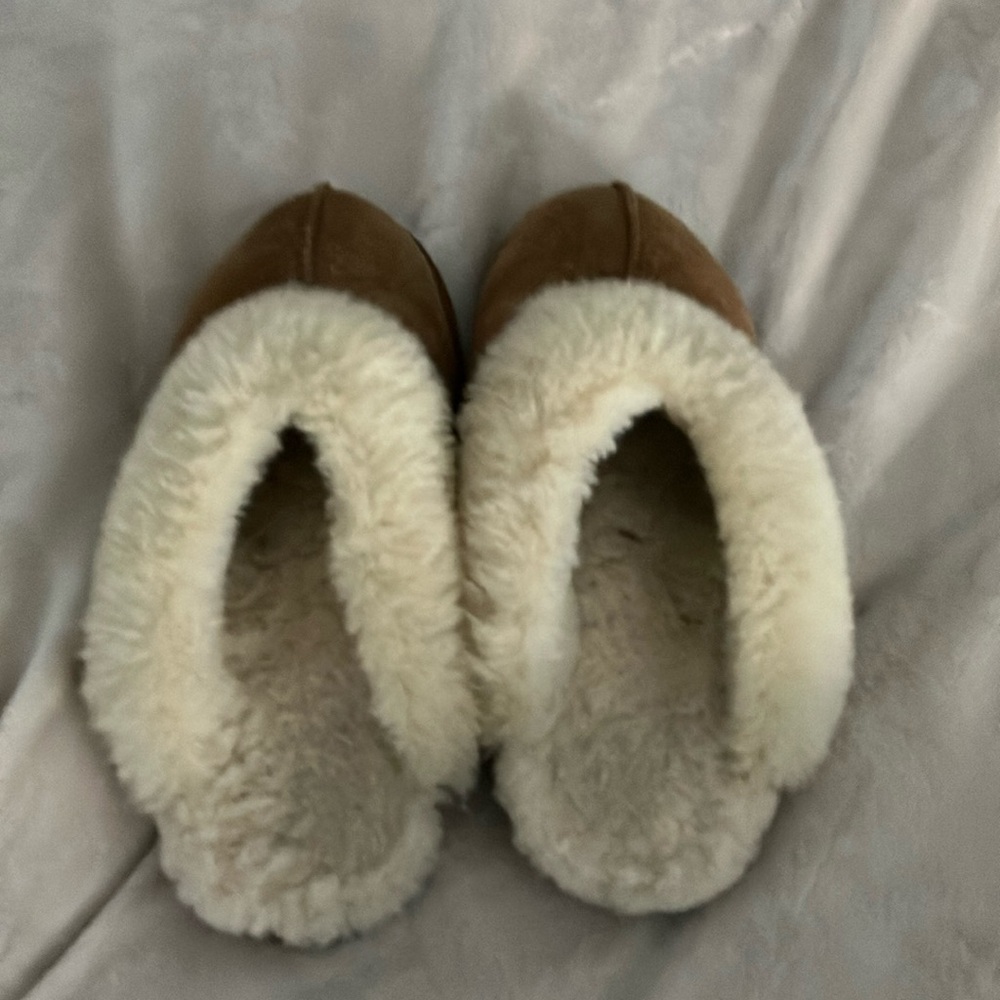 ugg slippers
